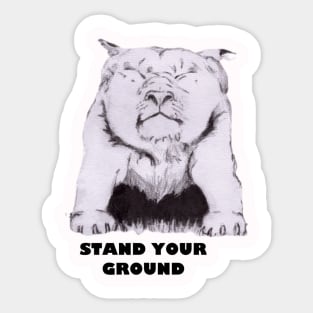 Stand Your Ground Sticker